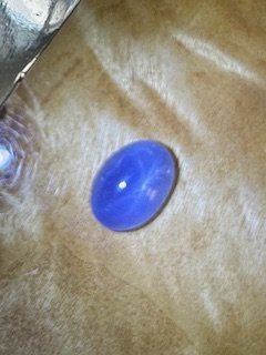 IMG_8683.jpg
