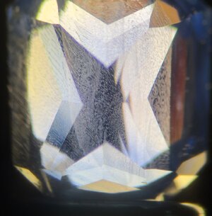 IMG_6953.jpeg