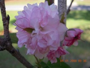 xDSCN0388.jpg