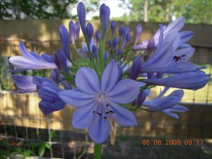 xDSCN0406.jpg