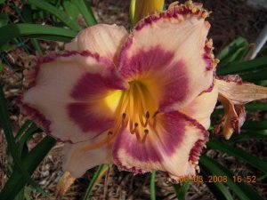 xDSCN0548.jpg