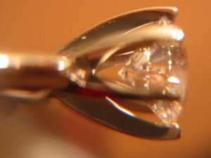 girdlereflection1.jpg