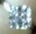 emilinasasscher2ct.JPG emilinasasscher2ct.JPG