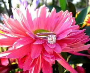 Flower3536.JPG