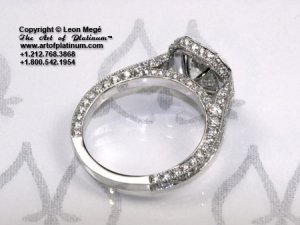 LMr630-10Ww.jpg