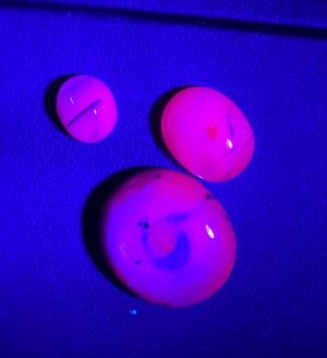 IMG_1371.jpeg