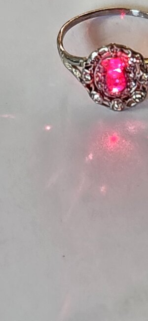 20250122_152211.jpg