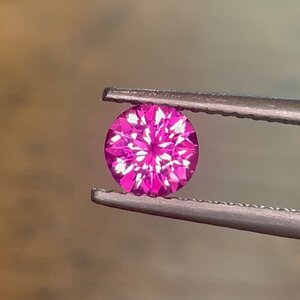 IMG_7481.jpeg