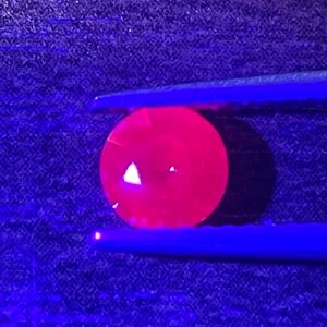 IMG_4015.jpeg