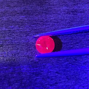 IMG_4014.jpeg
