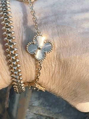 IMG_3521.GIF IMG_3521.GIF