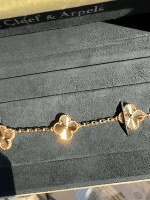 IMG_3512.GIF IMG_3512.GIF