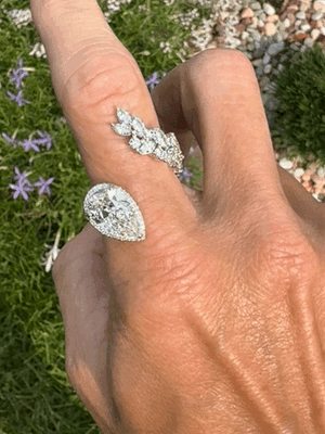 IMG_6152.GIF IMG_6152.GIF