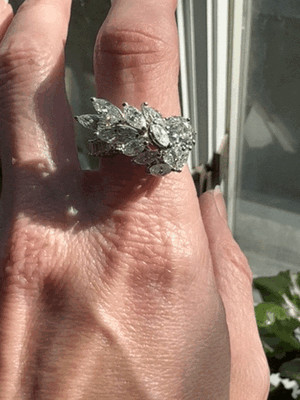 IMG_3541.GIF