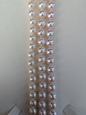 1739136807424.png 1739136807424.png