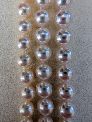 1739136834336.png 1739136834336.png
