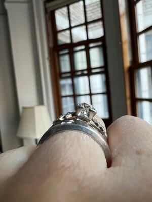 IMG_4840.jpeg IMG_4840.jpeg