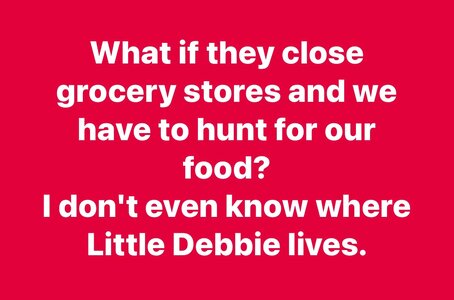 littledebbie.jpeg