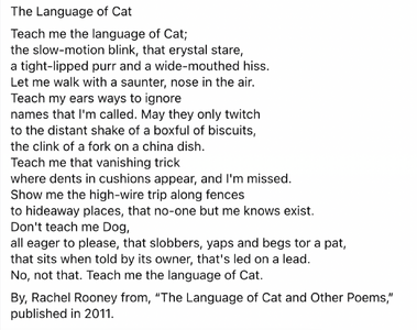 languageofacat.png