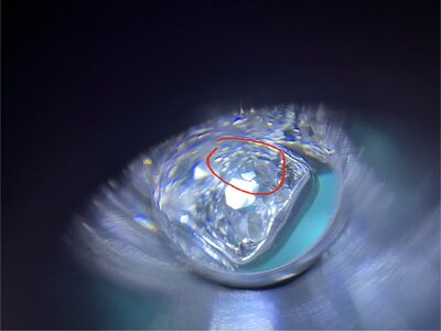 IMG_6766.jpeg