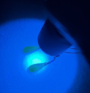 IMG_3230.jpeg