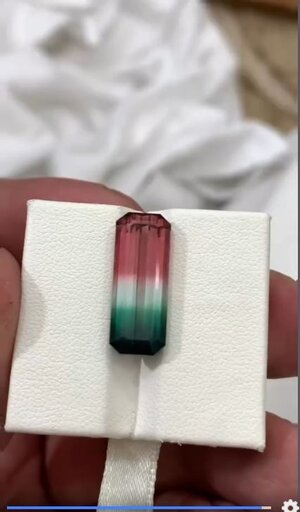 bicolor Tourmaline 3.JPG