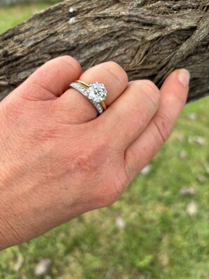 IMG_0512.jpeg