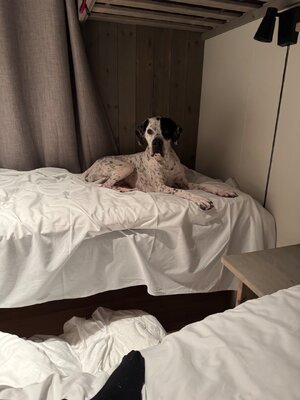 IMG_5403.jpeg