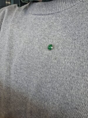 20231008_150012.jpg