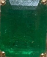 IMG_8152.jpeg