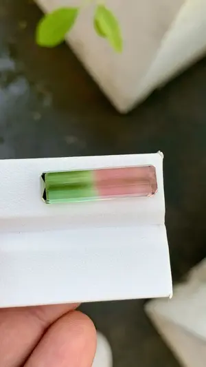 Tourmaline--2nd vendor.webp