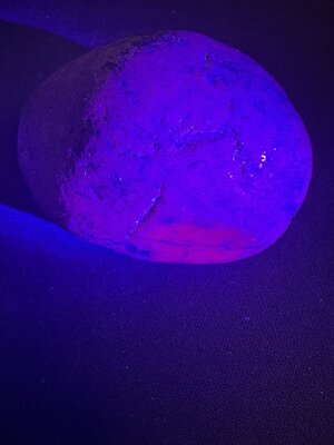 微信图片_20250309220331.jpg