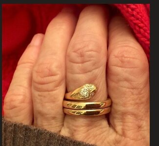 inspo ring.jpg