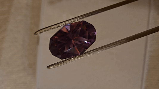 20250311_132940_1.gif