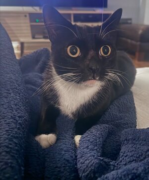 IMG_0408.jpeg
