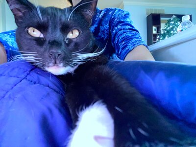 IMG_9141.jpeg