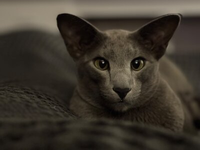 IMG_1452.jpeg