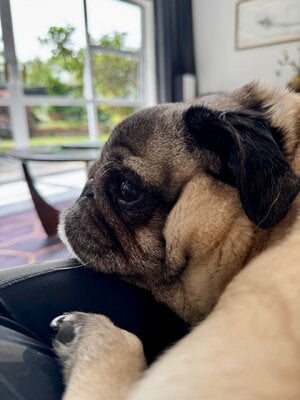 IMG_1463.jpeg