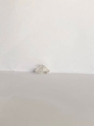 IMG_4560.jpeg