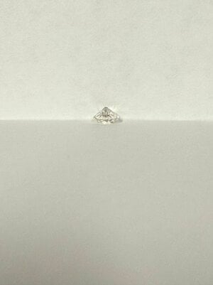 IMG_0342.jpeg