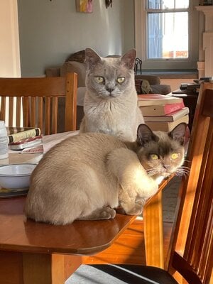 IMG_1804.jpeg