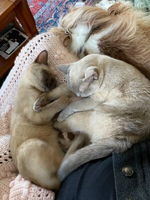 IMG_1756.jpeg