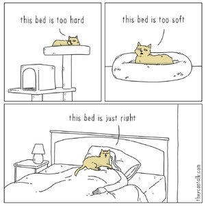 goldilockscat.jpeg