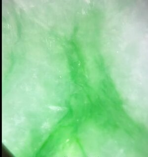 IMG_1157.jpeg