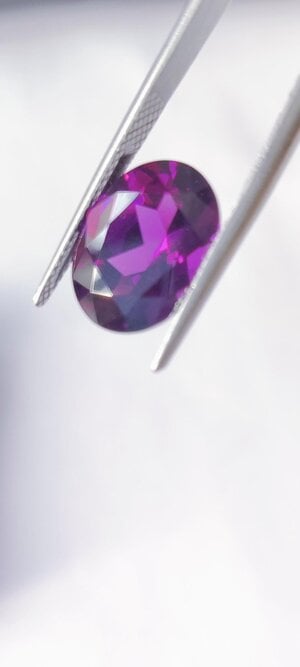 GARNET (1).jpg