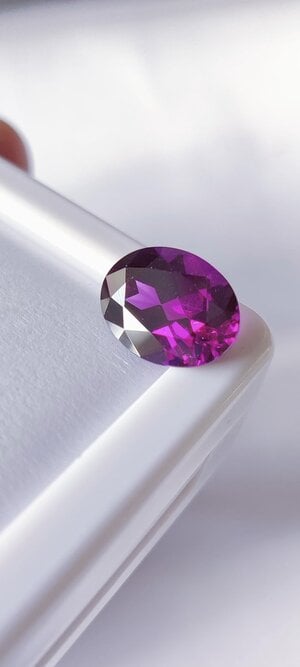 GARNET (2).jpg