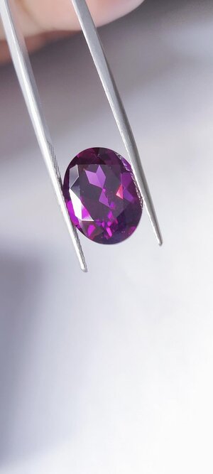 GARNET (3).jpg