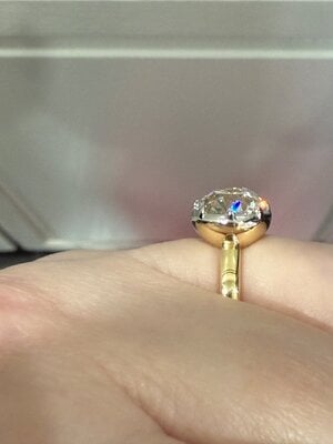 IMG_2203.jpeg