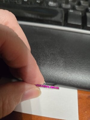 20250410_065500.jpg