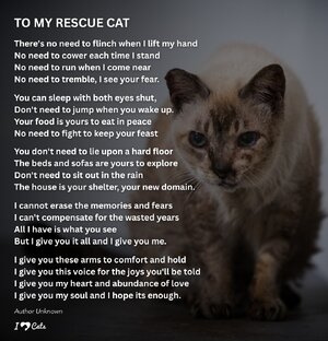 rescuecatpoem.jpeg